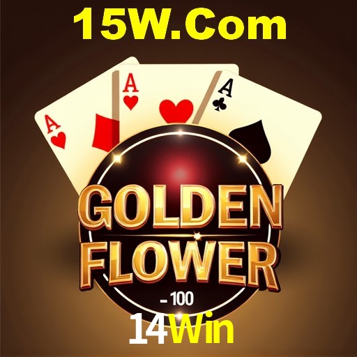 Programa VIP 14Win